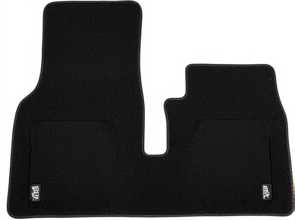 All-Weather vs. Carpet Car Floor Mats: What's the Difference?
