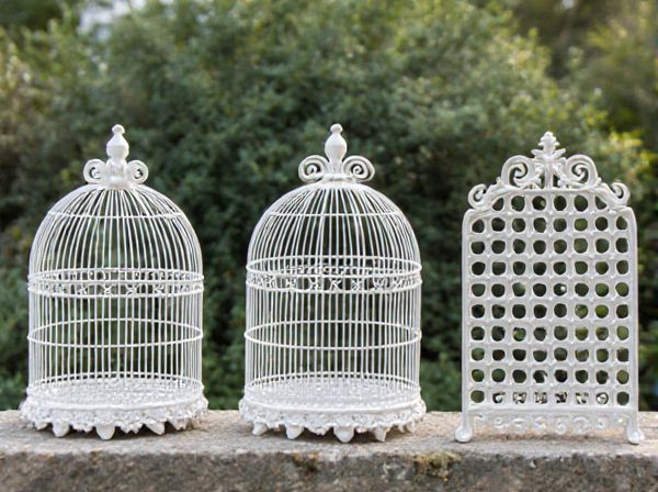 Birdcage Frame vs. Trellis Frame in Car Design: What Is the Difference?