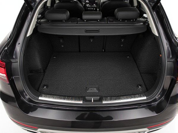 Carpeted Trunk vs. Rubberized Trunk: What's the Difference?