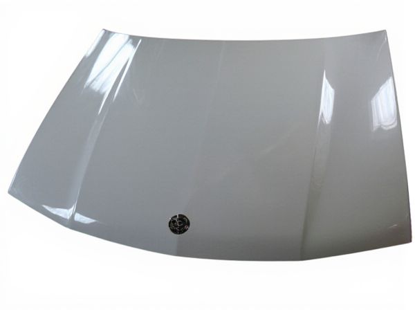 Heat Extractor Hood vs. Non-Extractor Hood on Car Hoods: What Is the Difference?