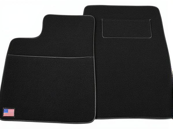 Mold-Resistant vs. Non-Treated Car Floor Mats: What's the Difference?