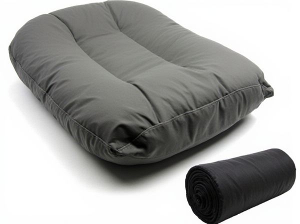 Rollout vs. Seat Cushion in Car Airbags: What Is the Difference?