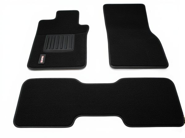 Thermoplastic Elastomer vs. Polyvinyl Chloride Car Floor Mats: What's the Difference?